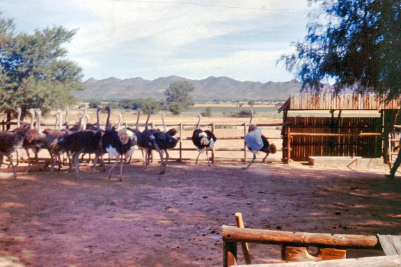 1990 Africa 1063