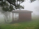 Cabaña´s in de mist in Cerro Verde