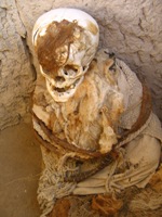 Nazca mummie met haarresten