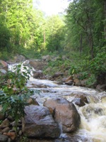 El Parque Nacional Celaque