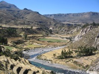 Uitzicht over oude Inca-terrasvelden