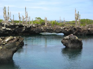 IMG_1747_De_tunnels_van_lava_in_het_water