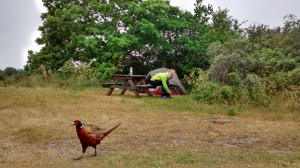 2015-06-13_180056_Schiermonnikoog